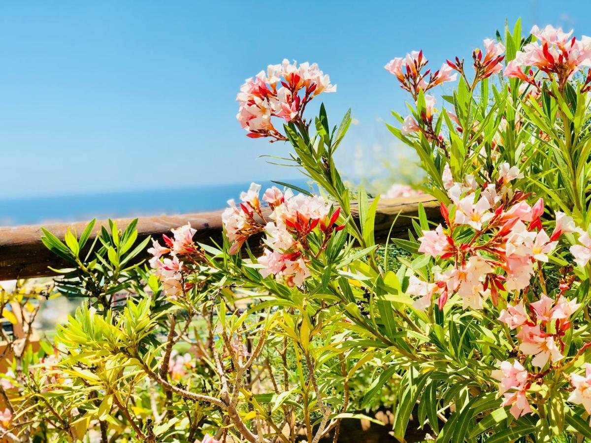 Apartament El Castillo De Bonalba Mutxamel Eksteriør bilde